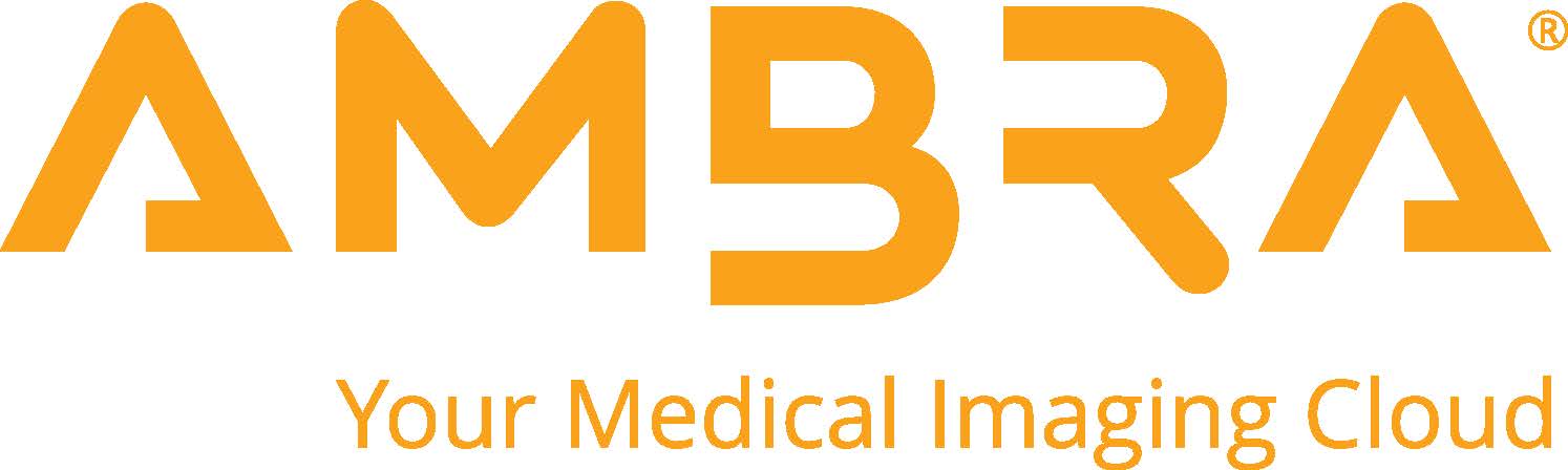 AMBRA logo with Descriptor Orange_RGB (002).jpg